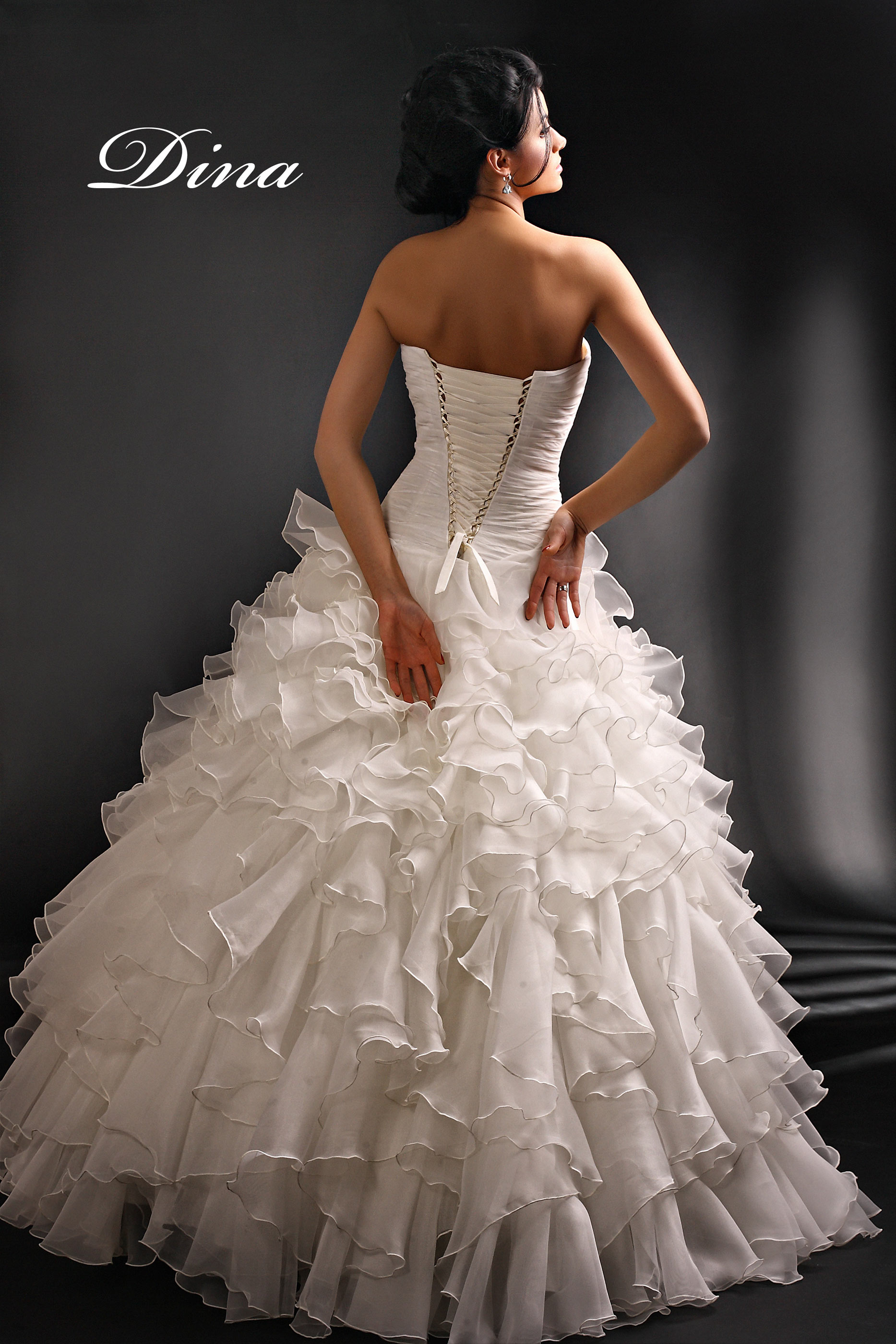 Wedding Dress Dina  2